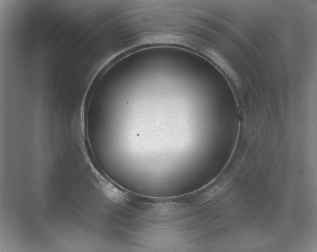 X0000073870988200608101505