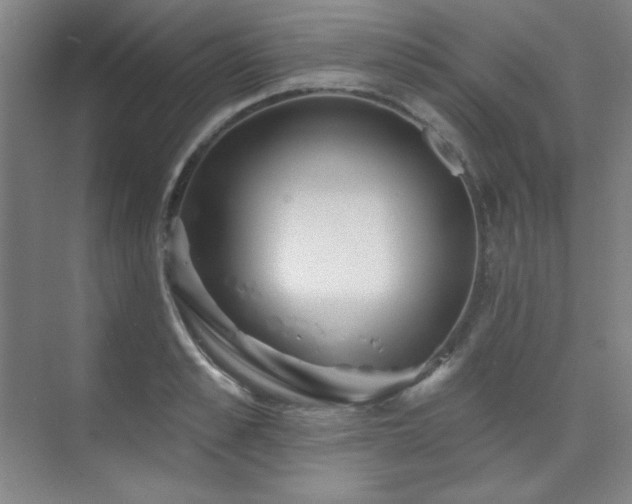 X0000073870989200608101505