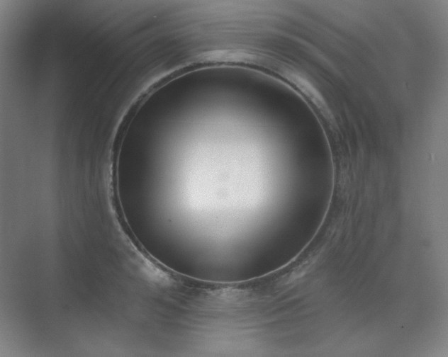 X0000073870992200608101505