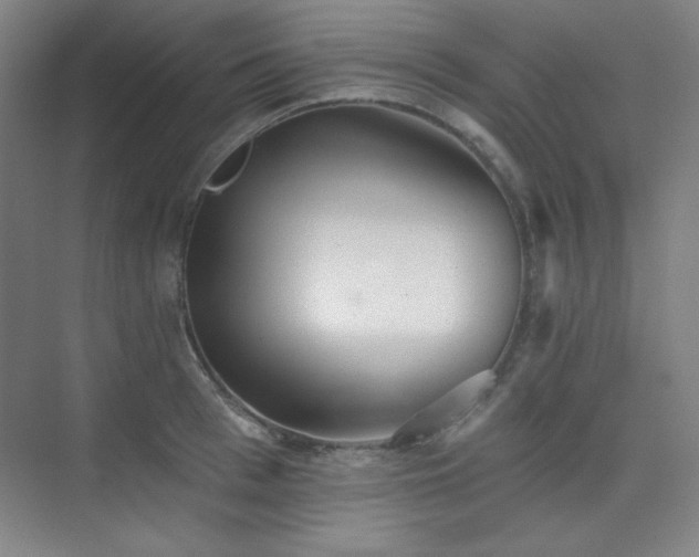 X0000073870993200608101505