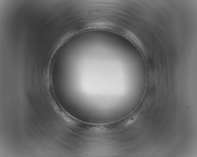 X0000073870994200608101505