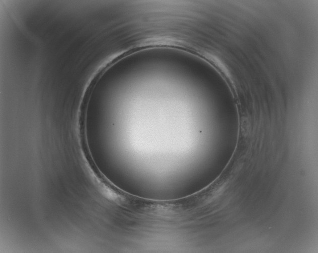 X0000073870995200608101505