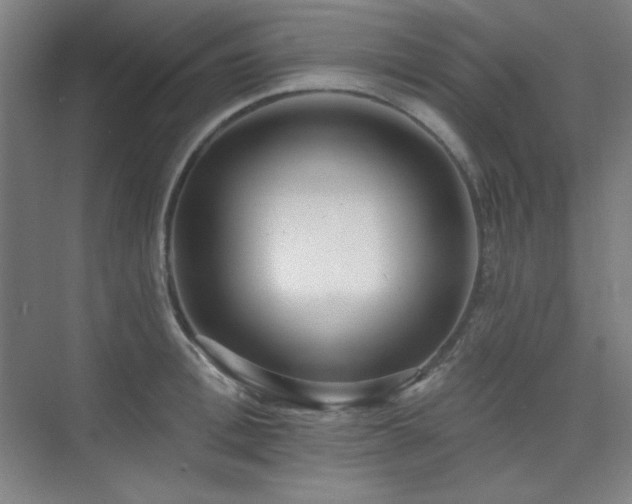 X0000073870996200608101505