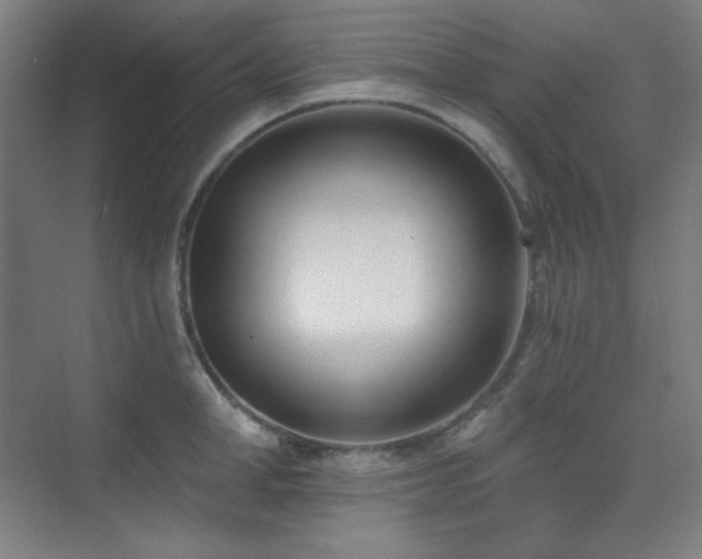 X0000073870998200608101505