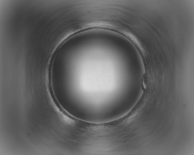 X0000073870999200608101505