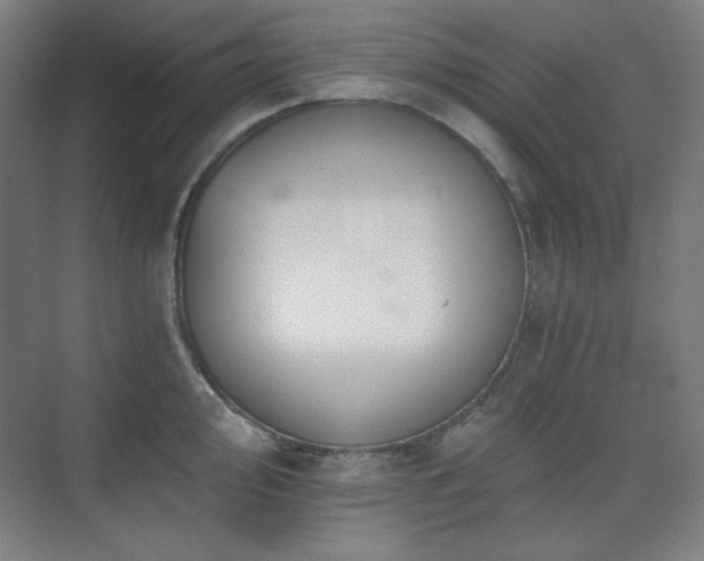 X0000073871000200608101505