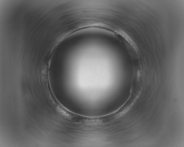 X0000073871001200608101505