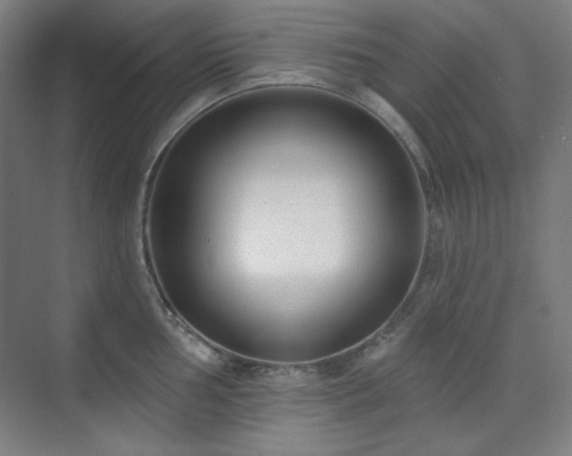 X0000073871002200608101505