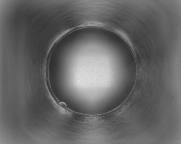 X0000073871003200608101505