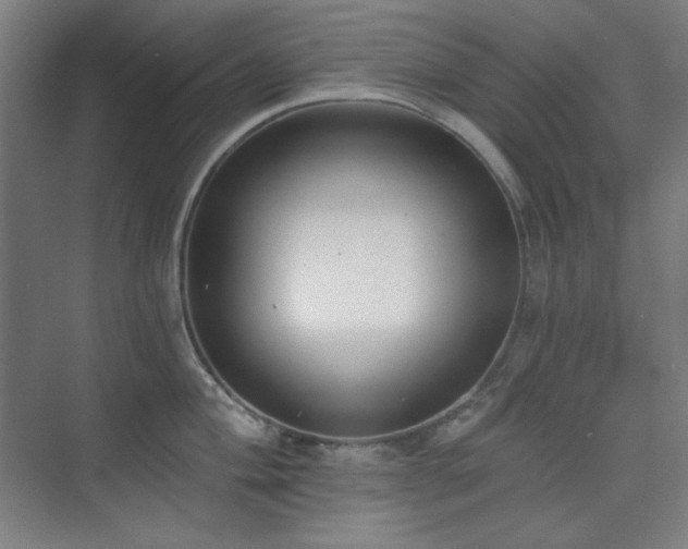 X0000073871004200608101505