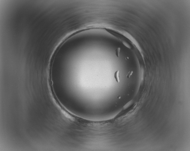 X0000073871005200608101505