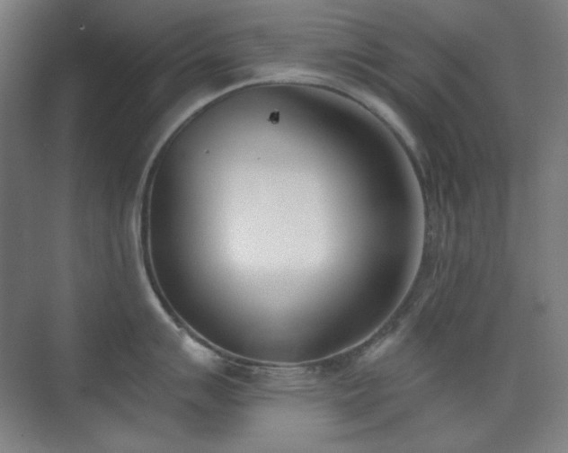 X0000073871007200608101505