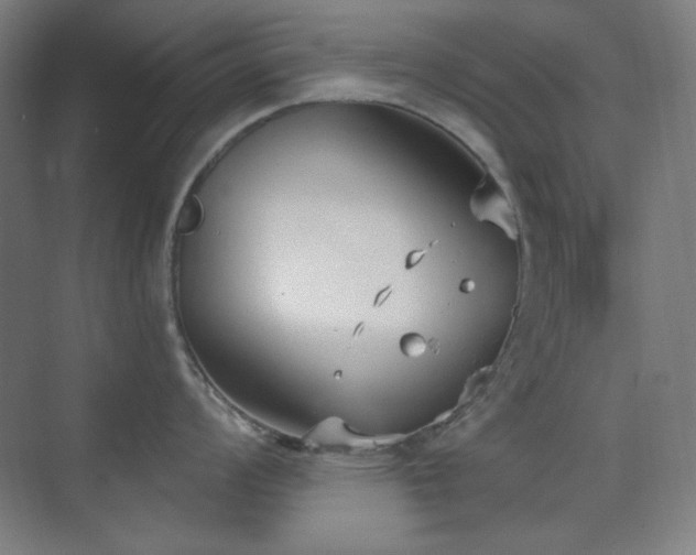 X0000073871008200608101505