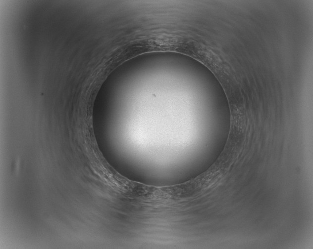 X0000073871009200608101504