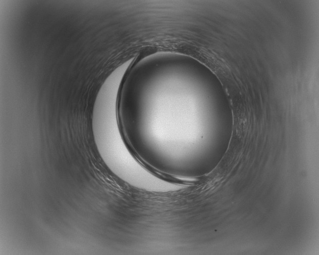 X0000073871010200608101504