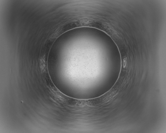 X0000073871011200608101504