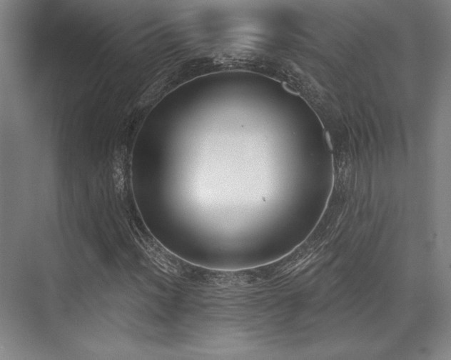 X0000073871012200608101504