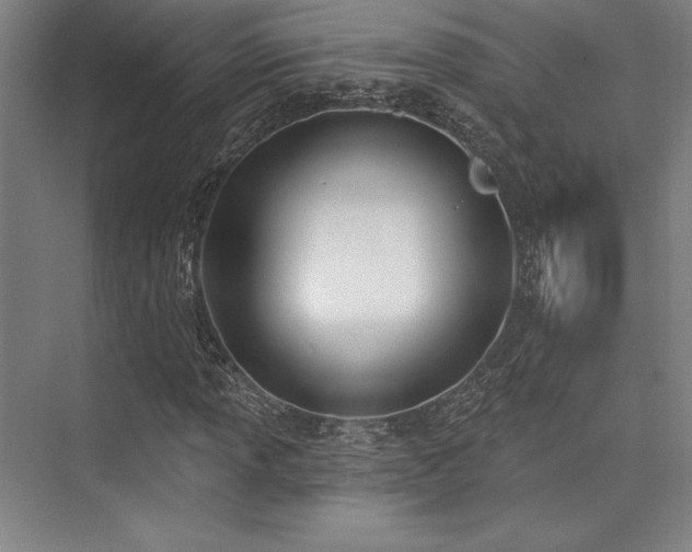 X0000073871013200608101504