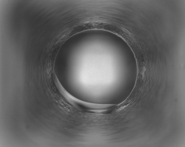 X0000073871014200608101504