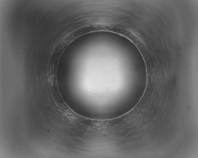 X0000073871015200608101504