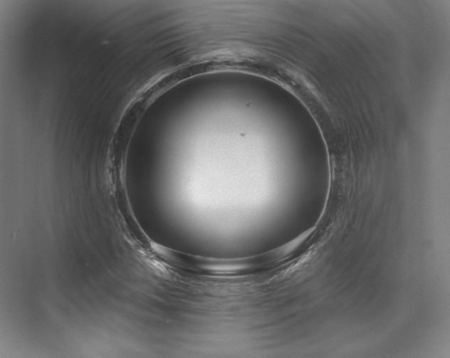 X0000073871018200608101504