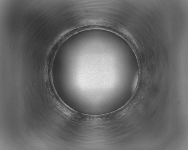 X0000073871019200608101504