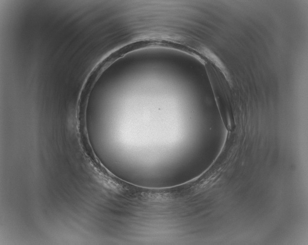 X0000073871020200608101504