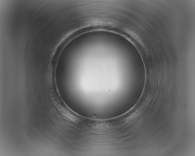 X0000073871021200608101504