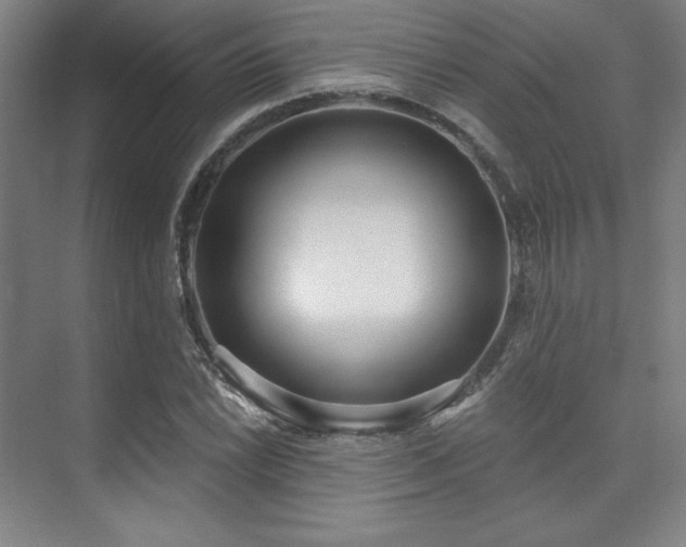 X0000073871022200608101504