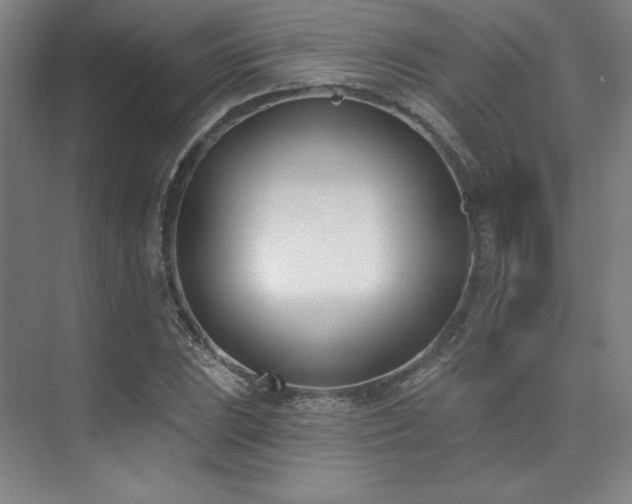 X0000073871023200608101504