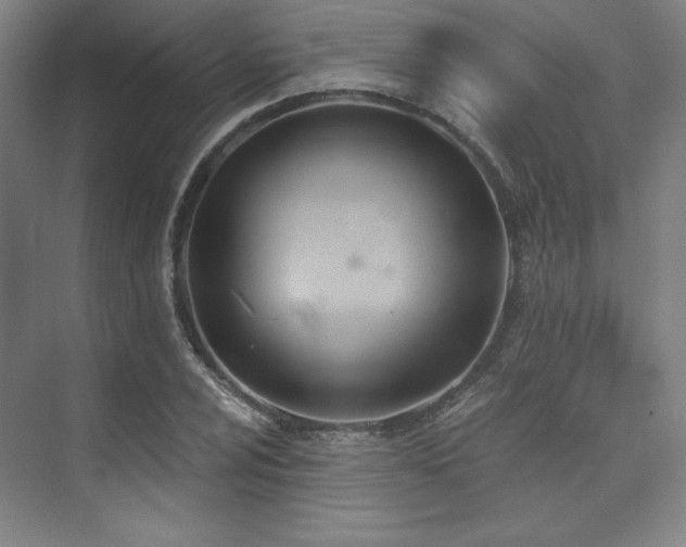 X0000073871024200608101504