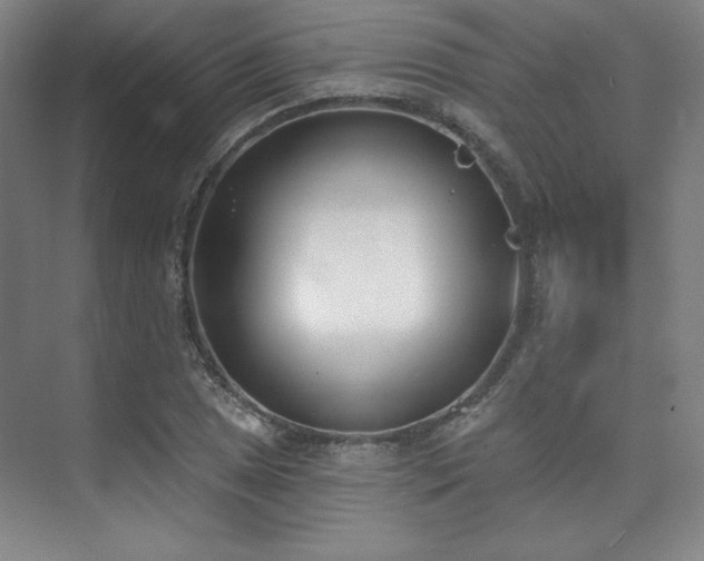 X0000073871025200608101504