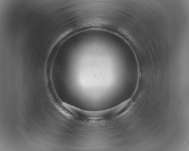 X0000073871026200608101504