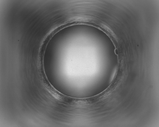 X0000073871027200608101504