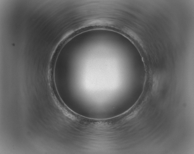 X0000073871029200608101504