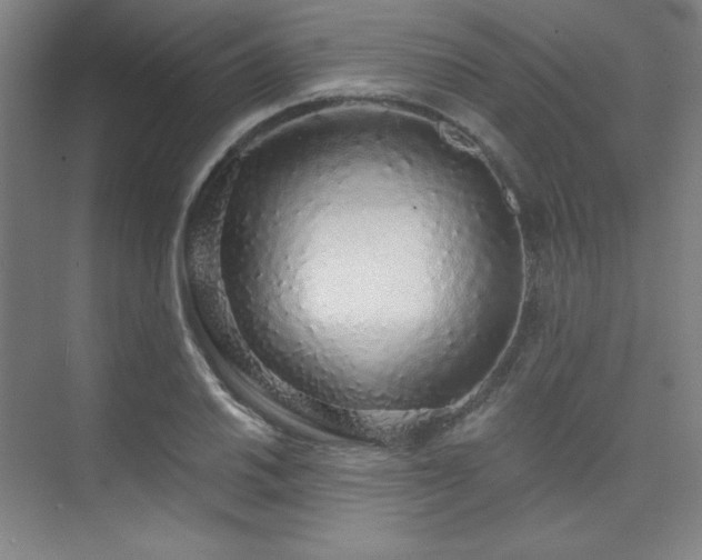 X0000073871030200608101504