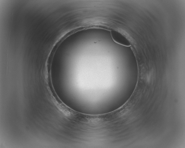 X0000073871031200608101504