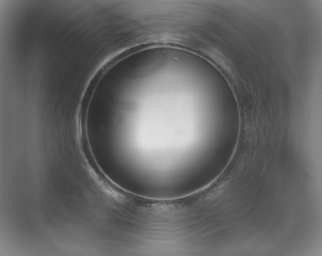 X0000073871032200608101504