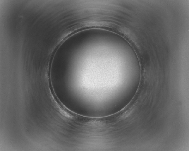 X0000073871033200608101504