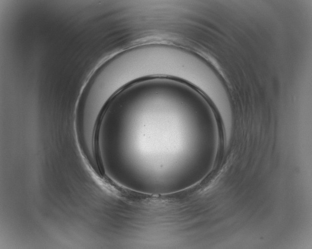 X0000073871034200608101504