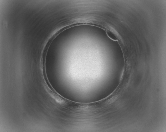 X0000073871035200608101504