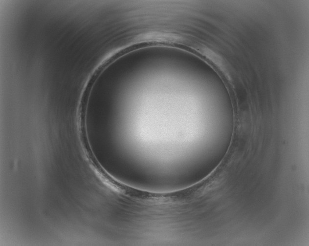 X0000073871037200608101504