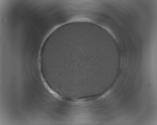 X0000073871038200608101504