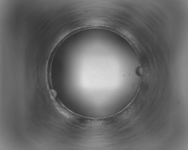 X0000073871039200608101504