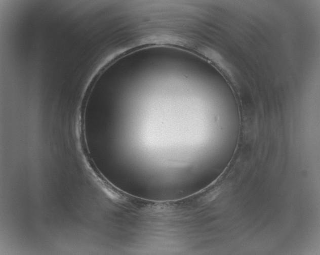 X0000073871040200608101504