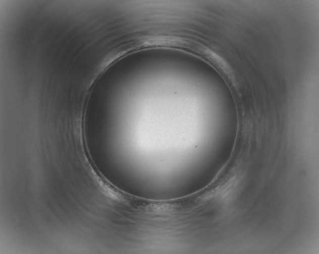 X0000073871041200608101504