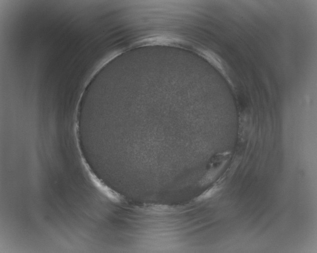 X0000073871042200608101504