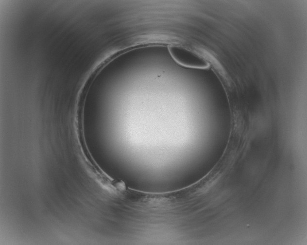 X0000073871043200608101504