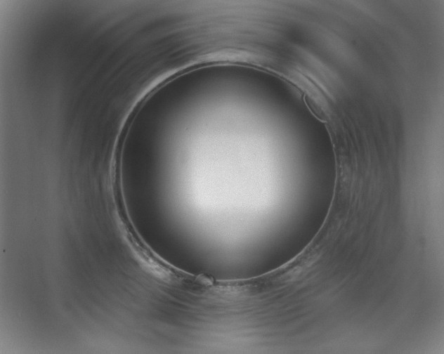 X0000073871044200608101504