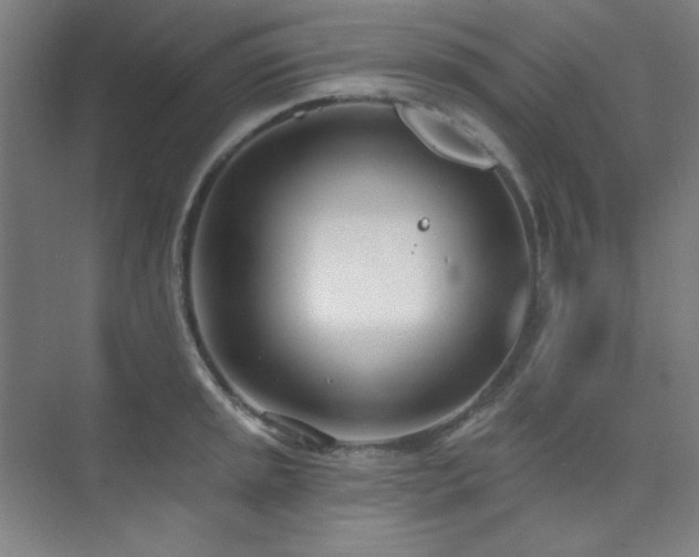 X0000073871045200608101504